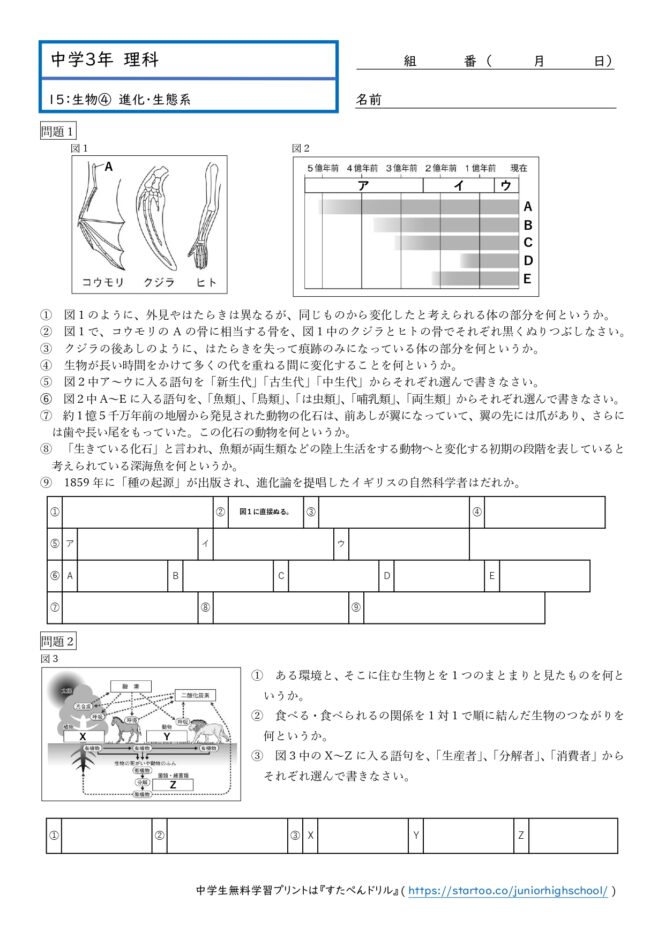 中3理科「進化・生態系」学習プリント無料ダウンロード・印刷